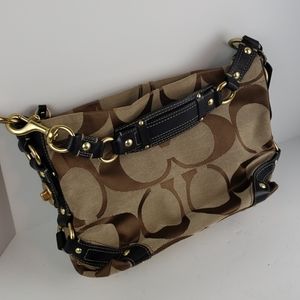 Coach bag Signature Series A0873-10619